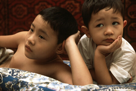 Племянники