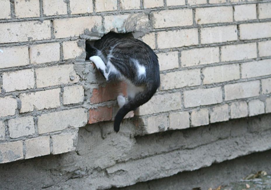 застрял!!!
