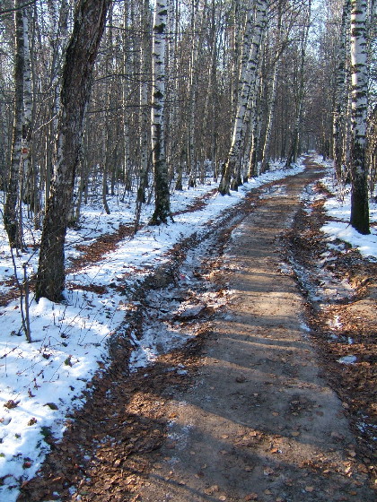 На прогулке