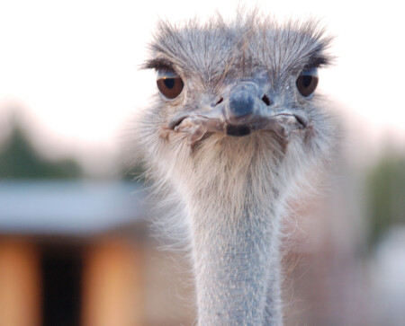 без названия #1