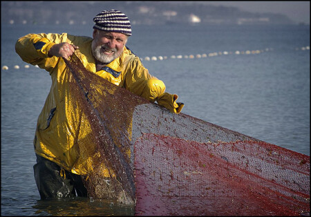 The Old Man And The Sea