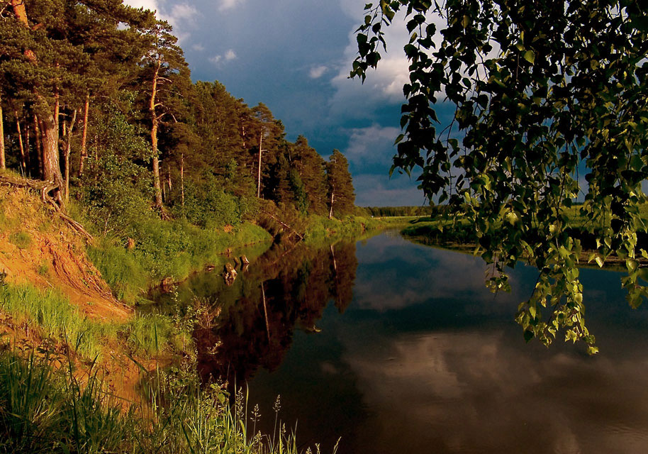 Перед грозой