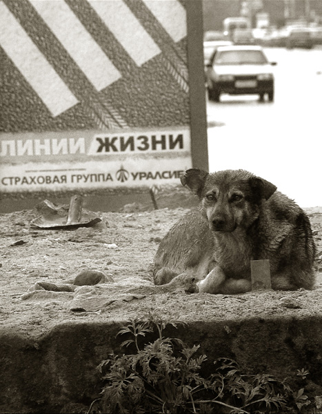 Линии жизни