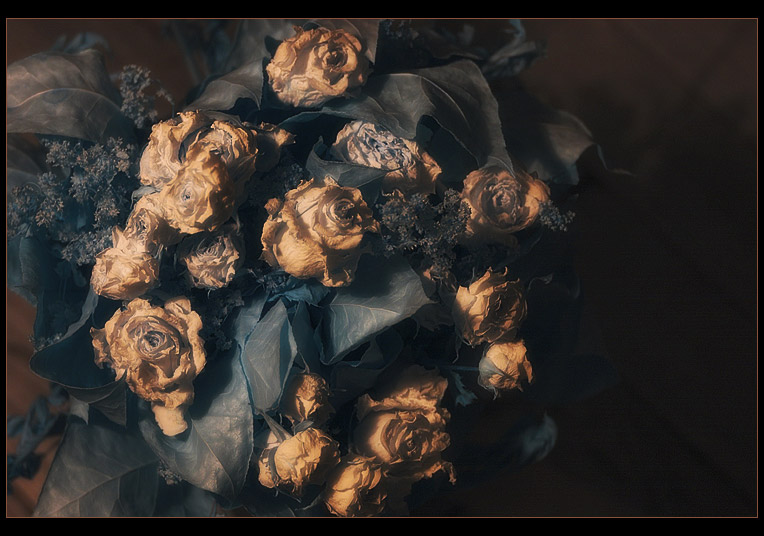 lady of the flowers... part II