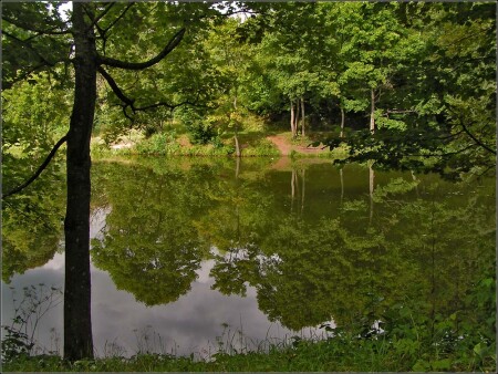 Отрaжение...