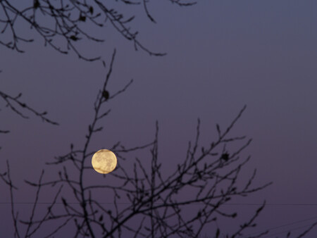 Исход ночи.