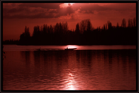 Без названия... 1