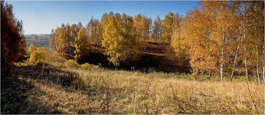 Осеннняя роща