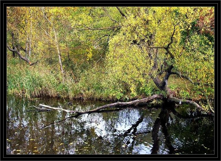 Есенинская осень.