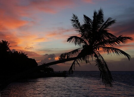 Honeymoon sunset