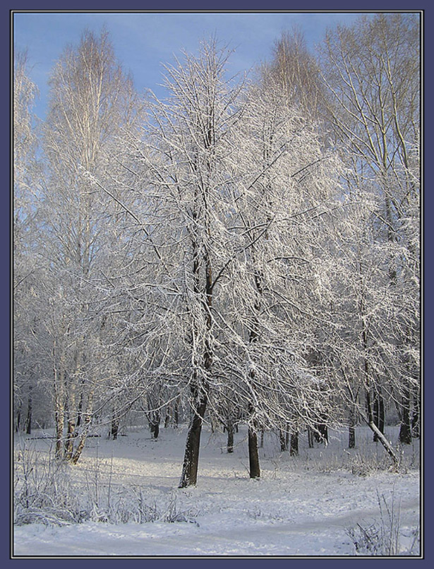 Снежное кружево
