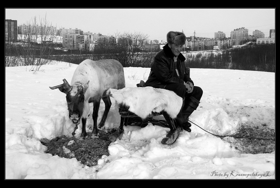 А раньше здесь была тундра...