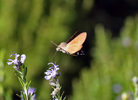 Дозаправка