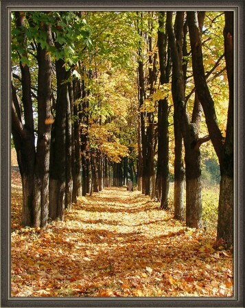 Осенняя