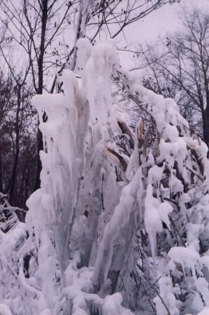 Скульптор-вода