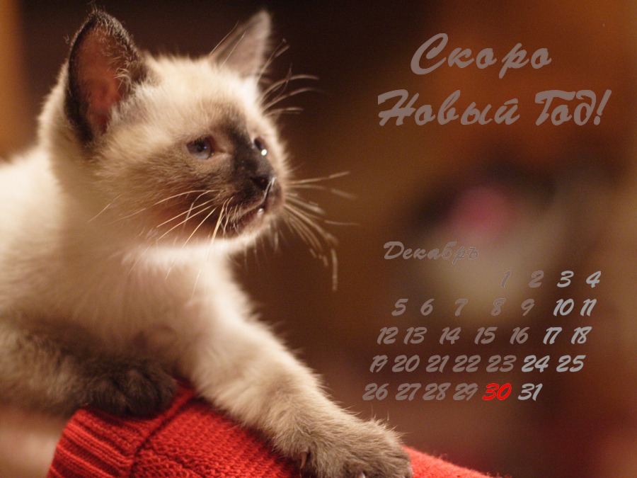 Скоро Новый Год!