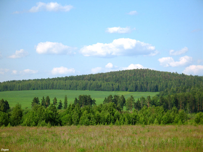 Пейзаж