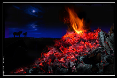 NIGHT-1