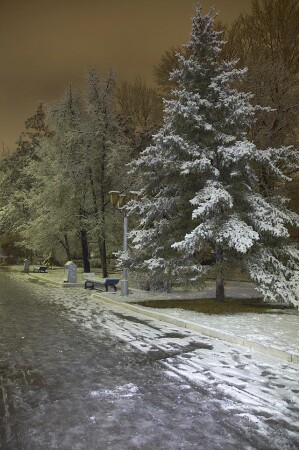 Городской парк