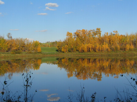 Золотая осень