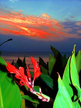 Огонь страсти