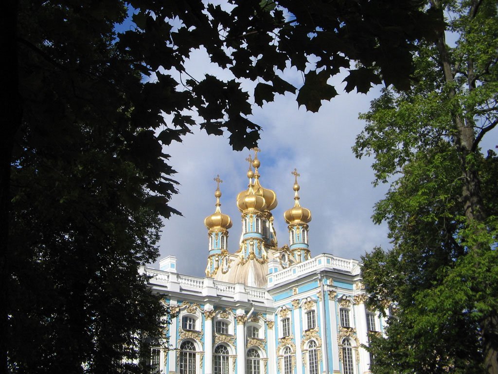 в рамке сада