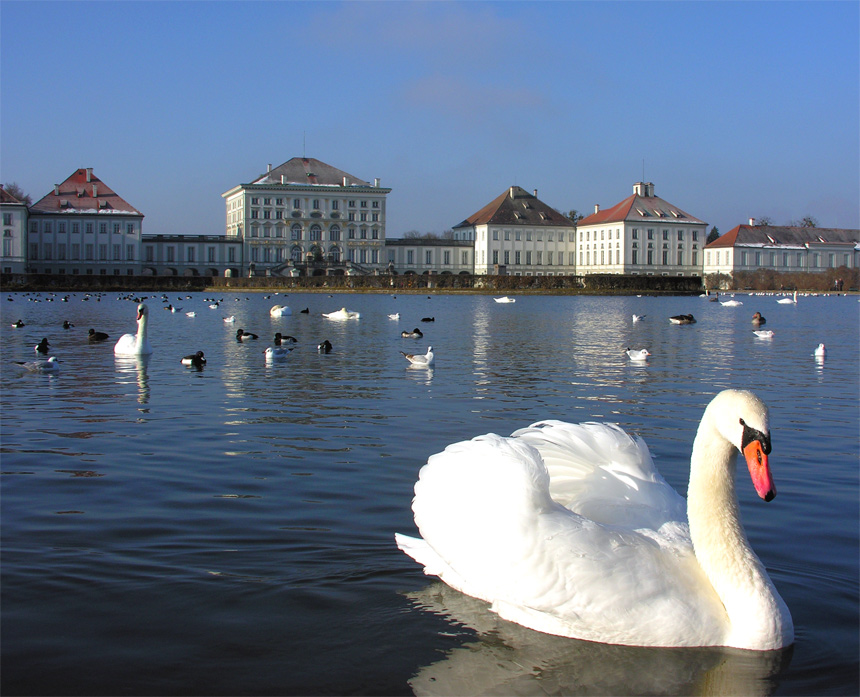 Lohengrin