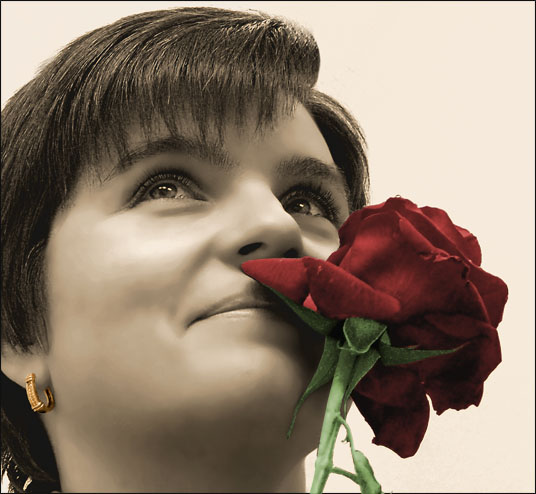 rose