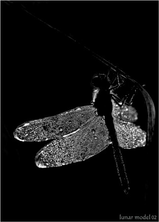 lunar model 02