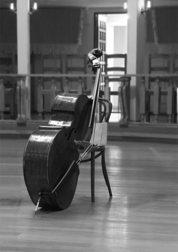 Neglected Double-bass