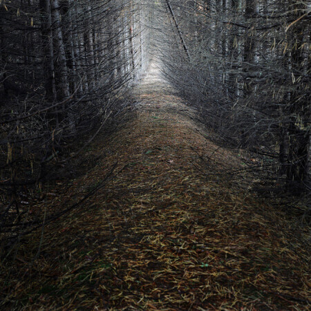 guiding light