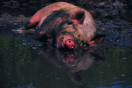 Хорошо-то как.......