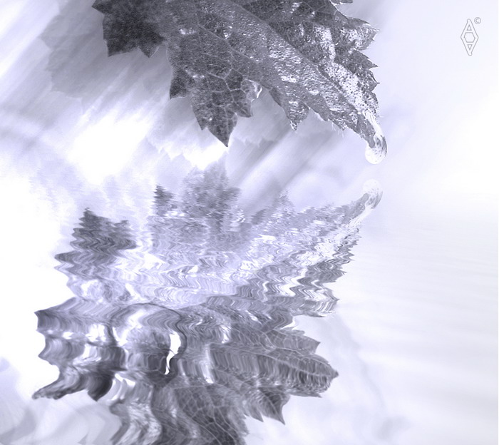 waterdrops