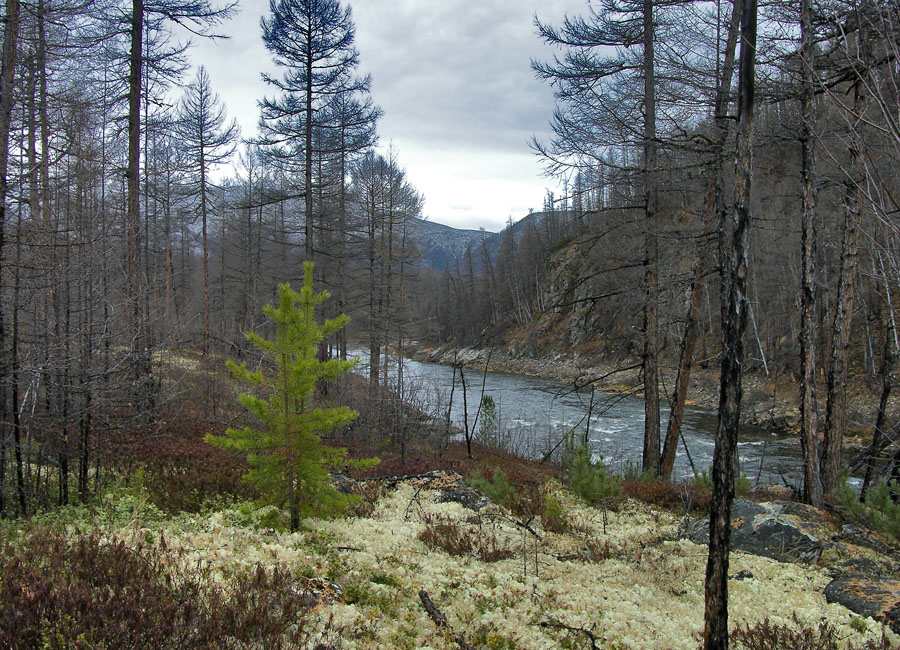 Осень, на любителя