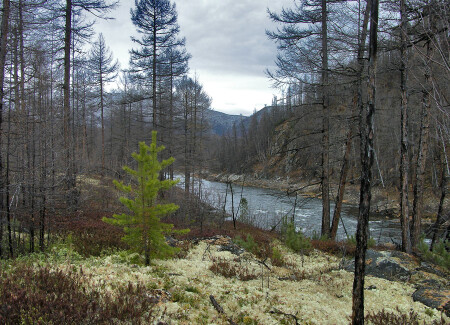 Осень, на любителя