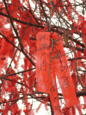 ХИТ СЕЗОНА - КРАСНЫЙ