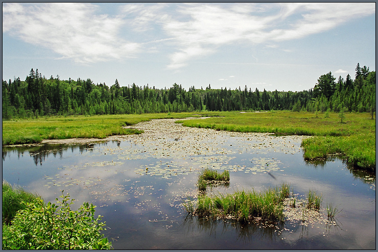 Algonquin PP (9)