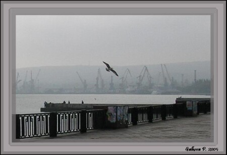 Улетаю из серого города где много-много кранов...