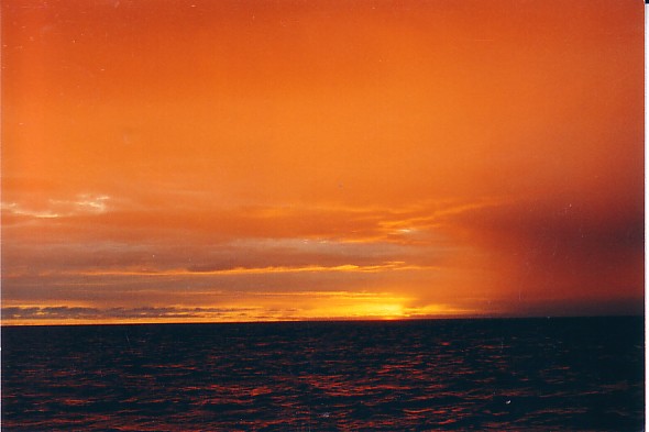 Агония