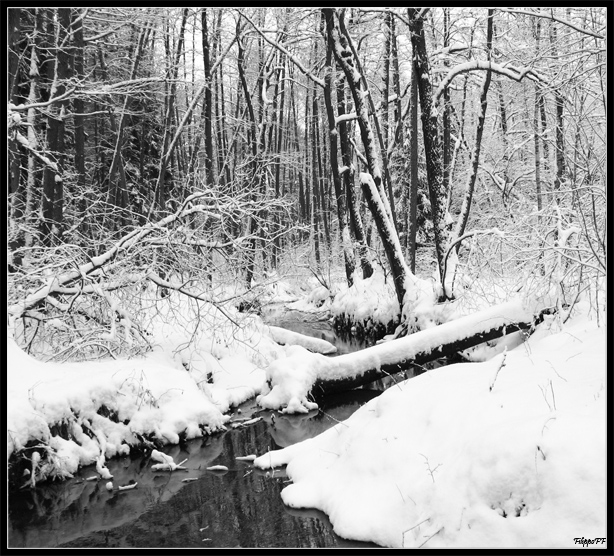 *Black River*