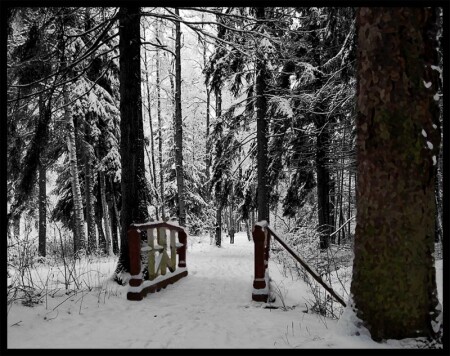 Прогуливаясь по репинским пенатам...