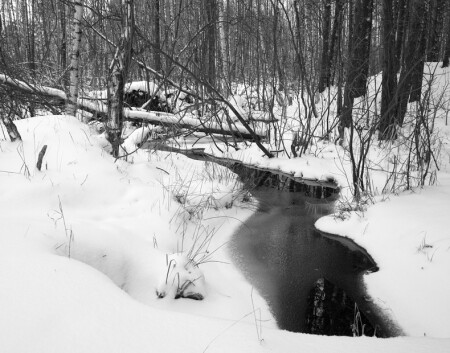 Зимняя зарисовка