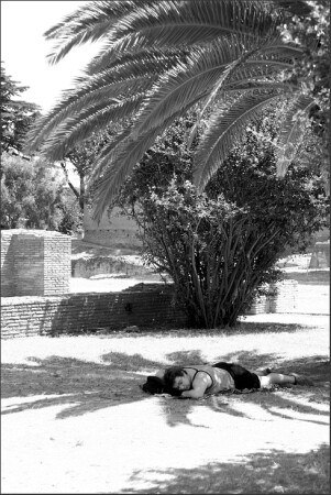 где тот дуб, в тени которого...