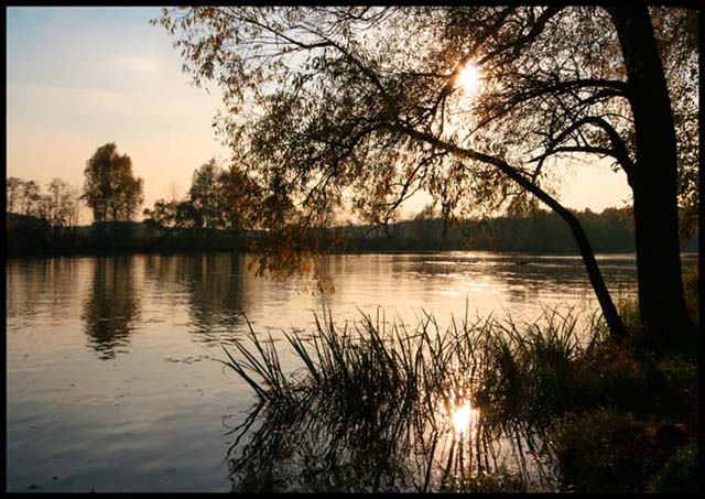 Симметрия
