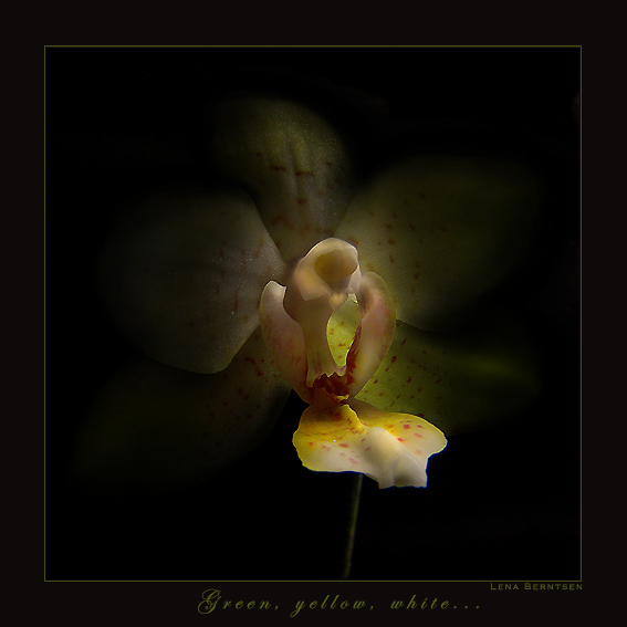 Green, yellow, white... 