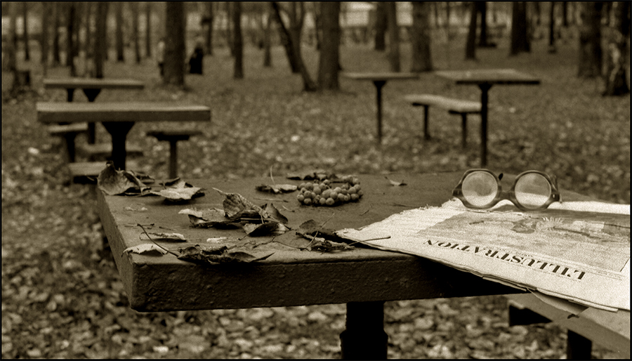 d&quot;automne parc