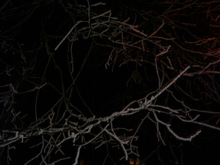 Мохнатое Рождество