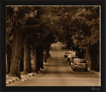 Дорога в никуда...