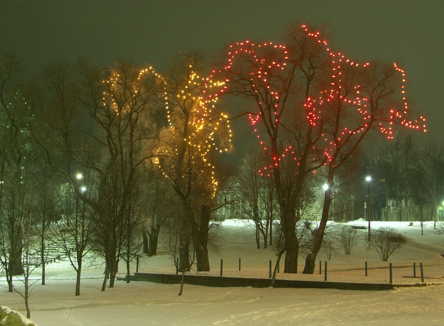 Огненные деревья зимы