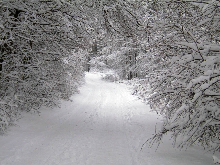 Зимняя дорога